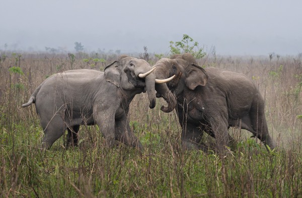 J1S3I22